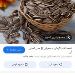 پخش تخمه و گردو اورجینال