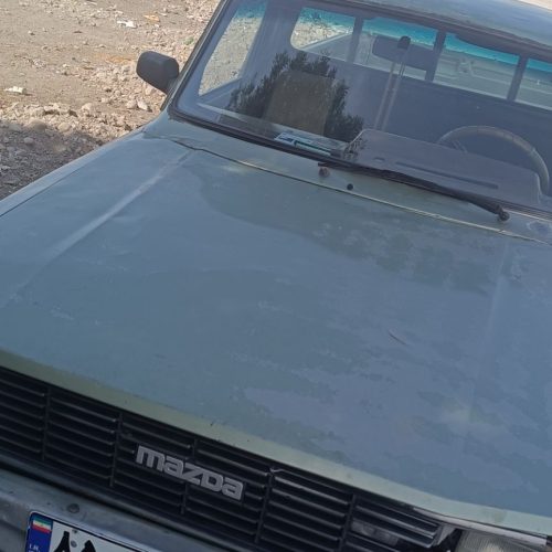 ماشین خونگی