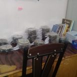 دی وی دی آموزشی