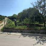 باغ مرکبات 400 متری دونبش