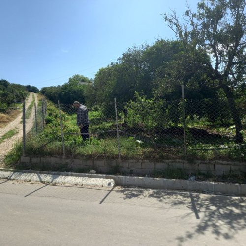 باغ مرکبات 400 متری دونبش