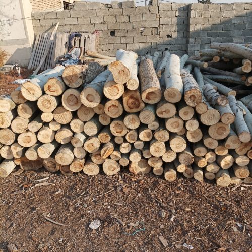 خرید و فروش چوب مناسب ترین قیمت