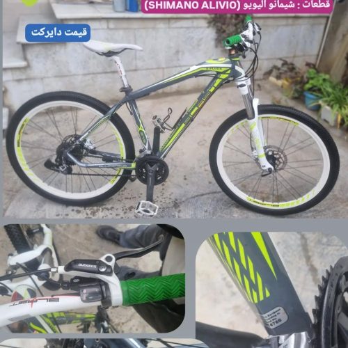 دوچرخه حرفه ای