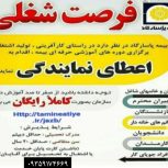نماینده شرکت بیمه پاسارگاد
