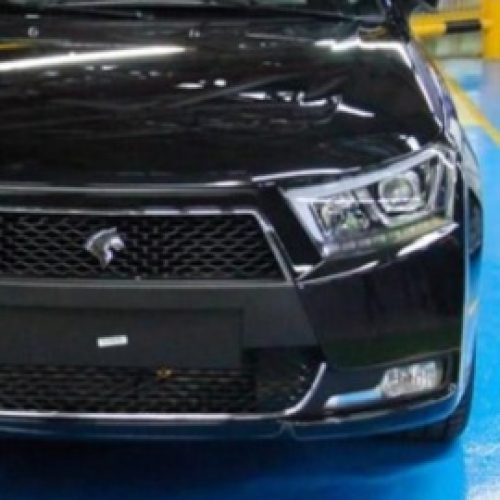 دنا‌پلاس‌مشکی آبنوس متالیک خشک