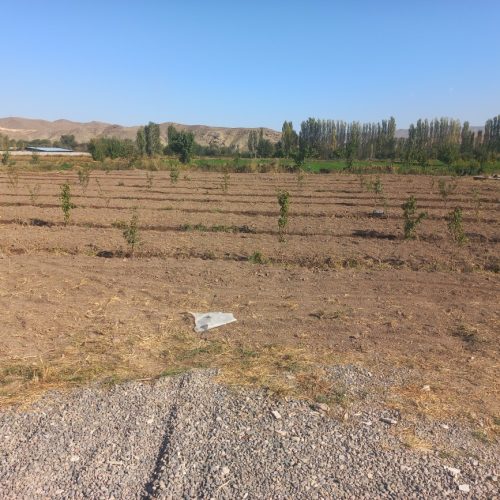 باغ جاده خوی تبریز