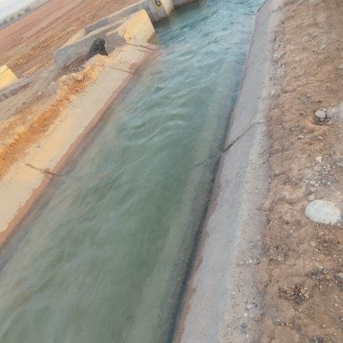 زمین کشاورزی