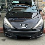 207 پانا تمام رنگ