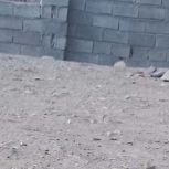 فروش فوری زمین به میتراژ : 120 متر