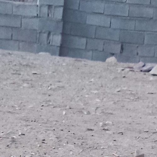 فروش فوری زمین به میتراژ : 120 متر