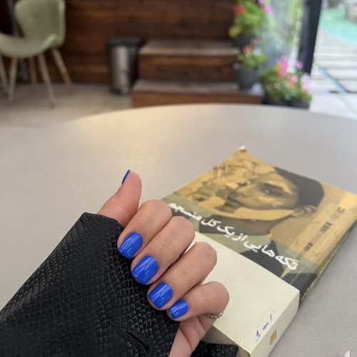 دستیار به همراه آموزش و حقوق