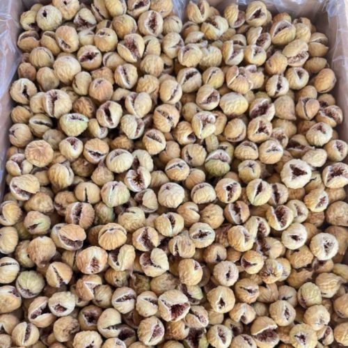 انجیراستهبان