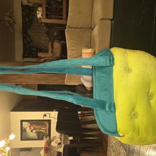 کیف حمل گربه و سگ کوچک