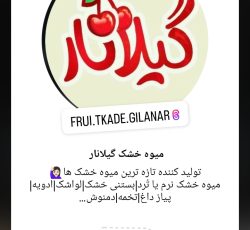 میوه خشک ترشک و بستنی خشک