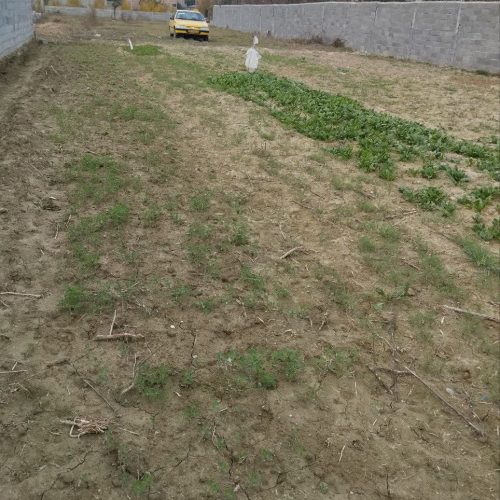 زمین کشاورزی دو قواره تا محدوده فاصله داره