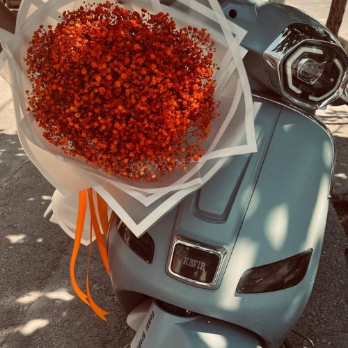 موتور خوش قیمت