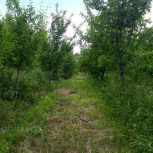 فروش باغ مراغه