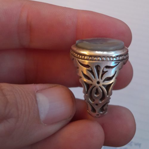 شجر تک درخت