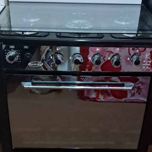 گاز نو