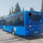 اتوبوس شهری