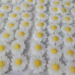 شمع های دست ساز بابونه