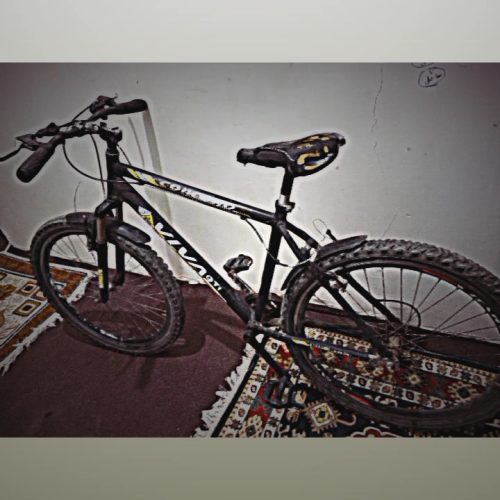 یک عدد دوچرخه بیوا