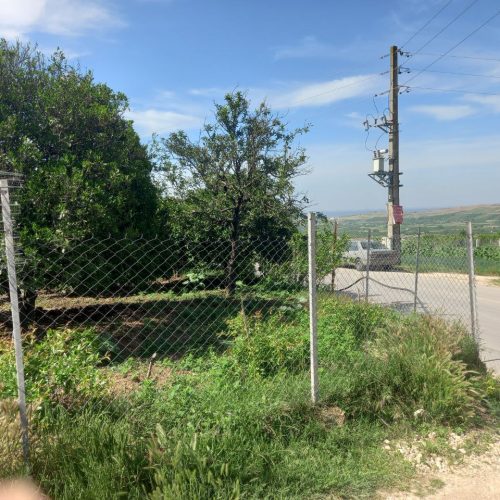 باغ مرکبات 400 متری دونبش