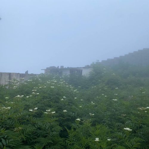 زمین مسکونی چلاو