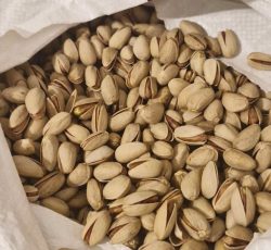 پسته ی اکبری