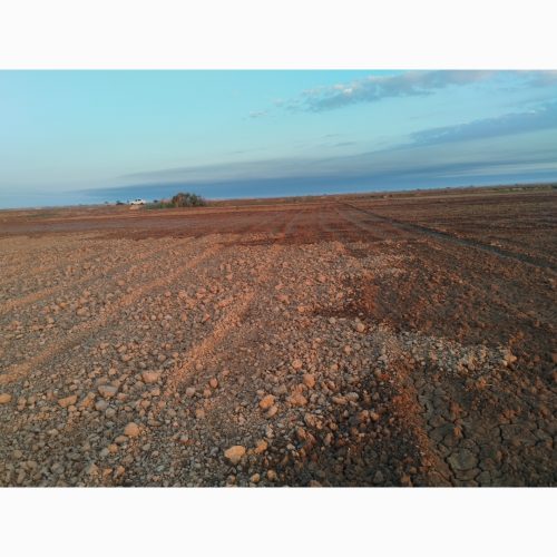 زمین کشاورزی