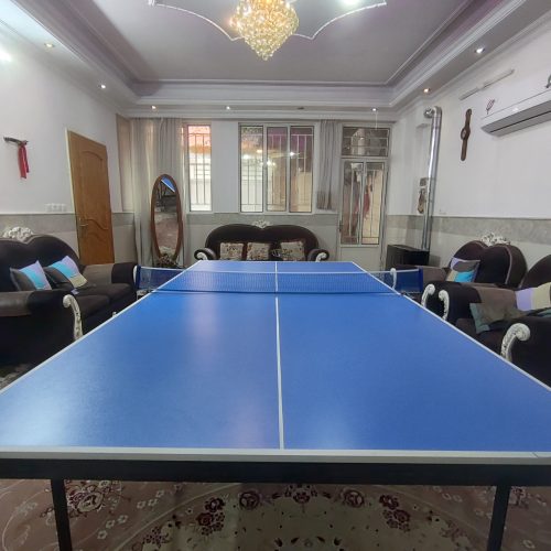 میز پینگ پنگ