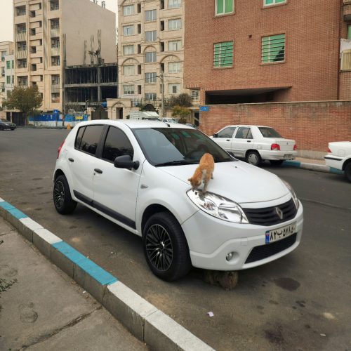 ساندرو دنده ای