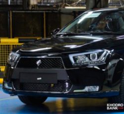 دنا‌پلاس مشکی آبنوس متالیک خشک