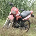 تریلر رادیسون 200