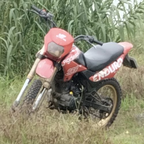 تریلر رادیسون 200