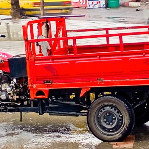 متور سه چرخ فلات