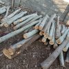خرید و فروش چوب مناسب ترین قیمت