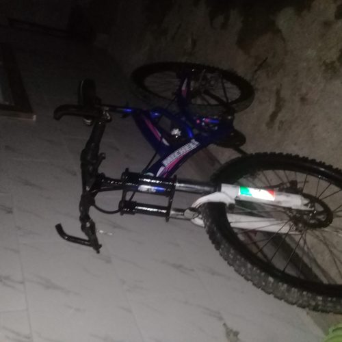 دوچرخه سالم