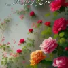 گوشی
