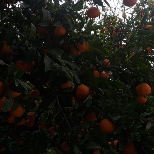 آگاهی نیرو کار زن و مرد