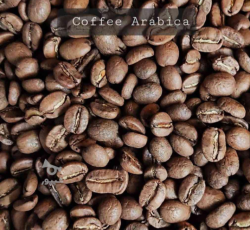 خرید و فروش عمده قهوه