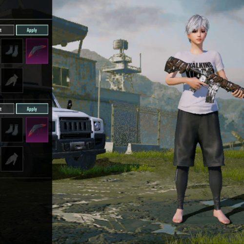 ‌‌اکانت‌پابجی