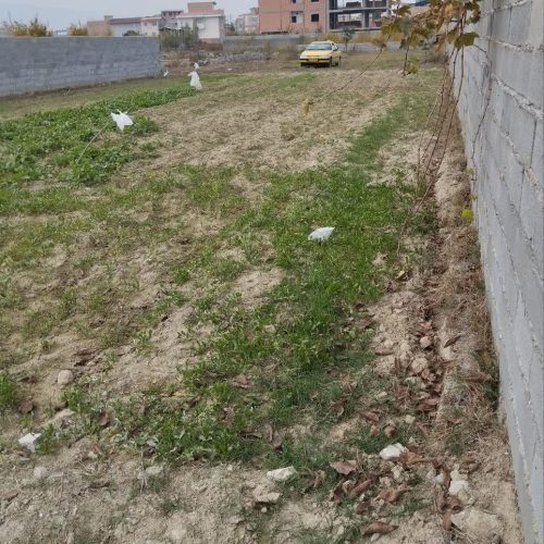 زمین کشاورزی دو قواره تا محدوده فاصله داره