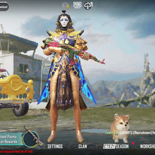 اکانت پاببجی موبایل لول74