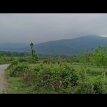 زمین باغی در بهترین شرایط آب و هوایی