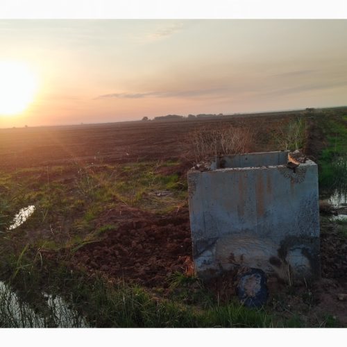 زمین کشاورزی