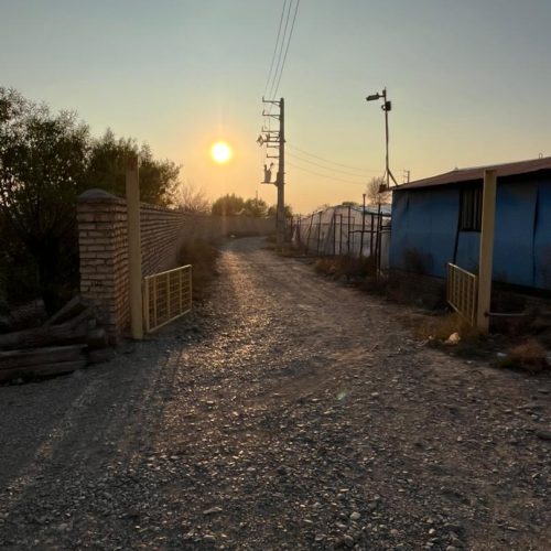 زمین کشاورزی