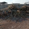 خرید و فروش چوب مناسب ترین قیمت