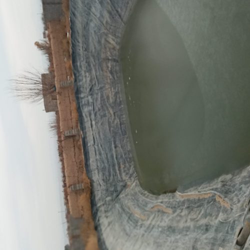 باغ اول کوچه