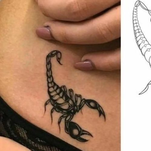 تتو بدن (فقط خانوم ها پیام بدن برای آقایون خدماتی نداریم) تخفیفات عالی فقط تا 1 دی  با متریال بهداشتی و عالی بدون پخش رنگ  فقط با هزینه جزعی مواد به مدت محدود  شروع قیمت از 150 هزار تومان تا 600 باید قدو قواره عکس تتون ببینم تا تو این رنج قیمت بهتون بگم  و همچنین با معرفی دونفر یک تتو مینیمال رایگان  فقط کافیه عکس تتویی که می‌خواین بزنید رو برام بفرستید  با ما در ارتباط باشید  اینستا گرام:  _niaysh_tatto تلگرام: